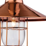 Firstlight Crescent Retro-Industrial Style 27cm Pendant Light in Copper and Clear Glass 2