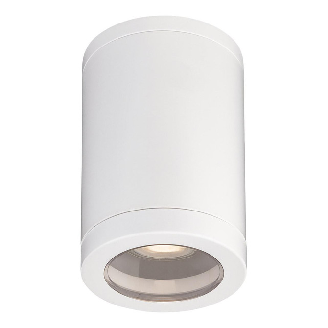 Firstlight Max Outdoor Ceiling Light Resin in White