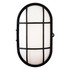 Firstlight Lewis Retro Style LED Oval Bulkhead 9W Warm White in Black and Opal 5