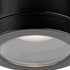 Firstlight Max Outdoor Ceiling Light Resin in Black 2