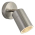 Zink LETO Outdoor Adjustable Spotlight Stainless Steel Main Image