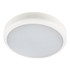 Electralite Hale LED Emergency Bulkhead 14W Cool White Opal and White Main Image