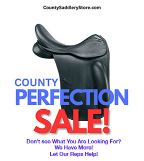 perfection-sale-banner.jpg