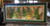 Horizontal Fern Lightbox