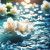 Whispering Jasmin