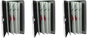 Set of 3 Chrome-Plated Credit Card Holders with Accordion Dividers