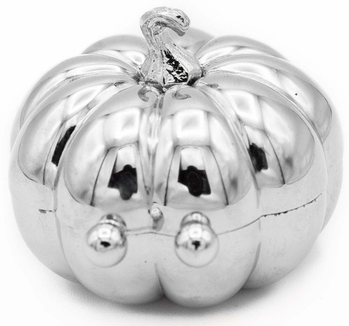 Silver Pumpkin Shaped Pocket Purse Portable Travel Pill Box & Medicine Organizer (1 Large Compartment)