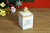 Holiday Calories Don't Count  Christmas Themed Winter Holiday Ceramic Cookie Jar