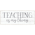 Teaching Is My Thing  Favorite Teacher Wooden Boxed Sign 4" X 10"