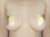 12 pairs of Disposable Nipple Cover Pasties