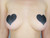 12 pairs of Disposable Nipple Cover Pasties
