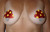 12 pairs of Disposable Nipple Cover Pasties
