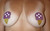 12 pairs of Disposable Nipple Cover Pasties