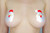 12 pairs of Disposable Nipple Cover Pasties