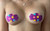 12 pairs of Disposable Nipple Cover Pasties