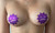 12 pairs of Disposable Nipple Cover Pasties