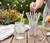 Heavy-Duty 4-Ply Paper Drinking Straws – Long-Lasting, Biodegradable, Compostable