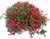 Made In USA 3-Ply Crinkle Cut Shredded Paper - Red & Green Christmas Mix