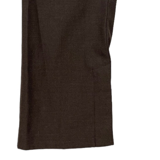 A Pea in the Pod Maternity Hidden Button Detail Ankle Maternity Pants (Like New - Size Medium) 