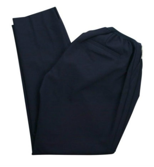 *New* Navy A Pea in the Pod Maternity Cropped Career Maternity Pants (Size Large) *New* Navy A Pea in the Pod Maternity Cropped Career Maternity Pants (Size Large)