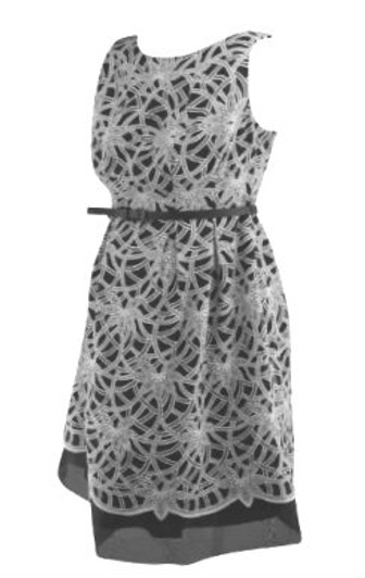 *New* Black Donna Morgan Flower Embroidered Sleeveless Maternity Dress for A Pea in the Pod Collection Maternity (Size Small)