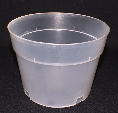 Plastic Pot Clear 6"