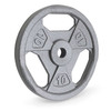 10lb Standard Size Grip Plate