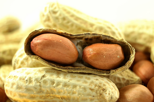 Wakefield Virginia Peanuts Extra Large for Animals, 6 LBS (Peanuts)