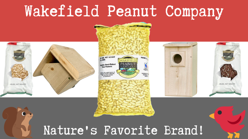 Discover the Wakefield Peanut Company: Enhancing Your Outdoor Experience Discover the Wakefield Peanut Company: Enhancing Your Outdoor Experience