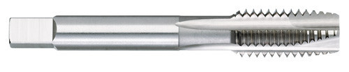 Top View