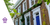 Upgrade Free & Rightmove to Full House