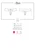 Miamor Size Chart