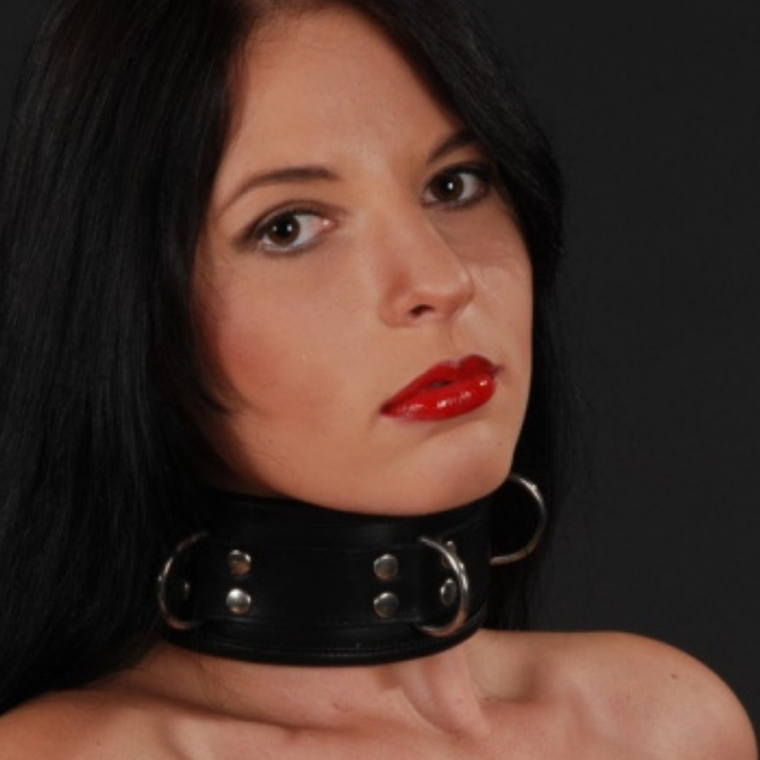 Gevoerde collar met 3 D-ringen