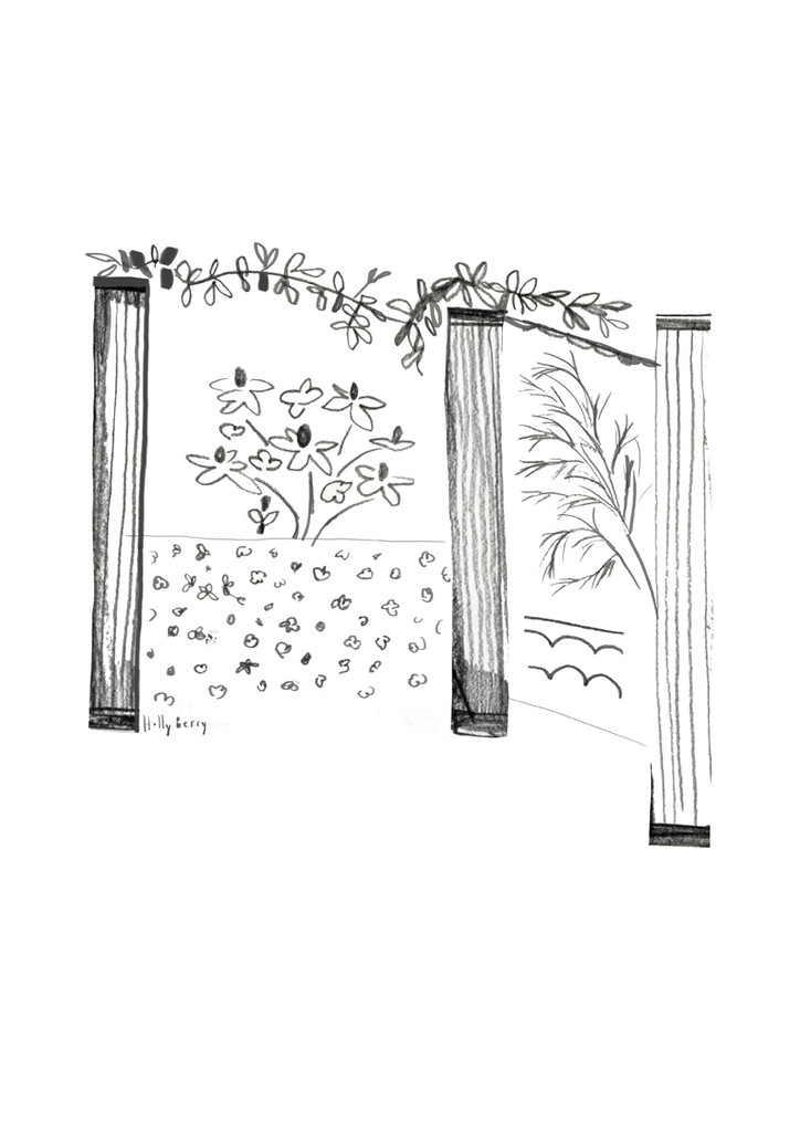 Botanical Pillar Drawing Unframed Print