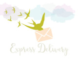 Express Delivery