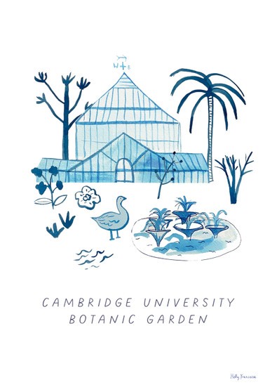 This travel poster of the Palm House, Cambridge University Botanic Garden was created from an original drawing & blue ink painting by artist Holly Francesca.