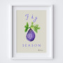 Fig Season Poster - Fresh Summer Editions Art Print by UK artist & illustrator Holly Francesca