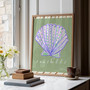 Scallop Seashell Poster - Summer Editions Art Print by UK artist & illustrator Holly Francesca