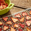 BigBite® 10-Tray Dehydrator with Fruit