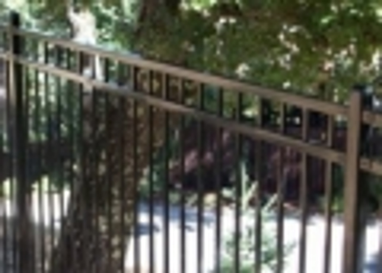wholesale wrought iron fence panels,  wrought iron steel, 