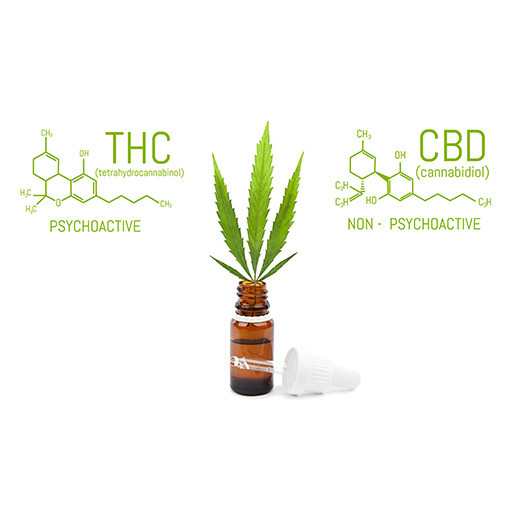 Explaining the Difference Between CBD and THC