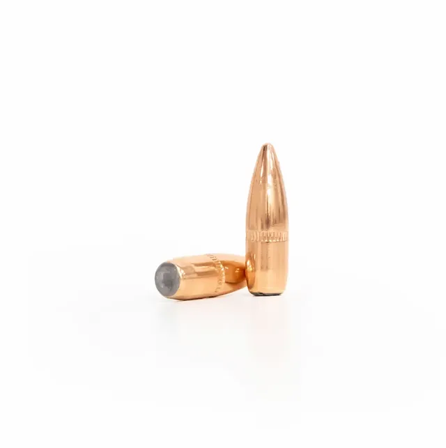 .223 55gr Projectile