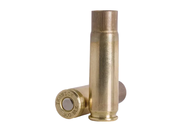 Primed .300 BLK Case