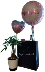 Mother's Day Special