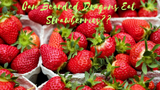 Finally, Dissected: Can Bearded Dragons Eat Strawberries?	