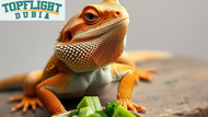 Can Bearded Dragons Eat Kale? TopFlight Dubia Reveals