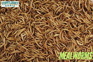 Mealworms - Your Ideal Pet Food