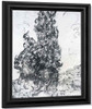 Cypresses By Vincent Van Gogh