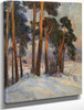 Pine Trees On Bygdo By Thorolf Holmboe