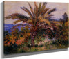 A Palm Tree At Bordighera By Claude Oscar Monet